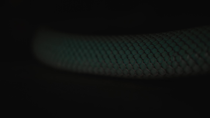 Close-up of Blue Venomous Pit Vipers Skin. Snake Slowly Wriggles in the Shade on the Stone Surface. Flashlight Light Hits the Reptile and Disappears Royalty-Free Stock Footage #1091947645