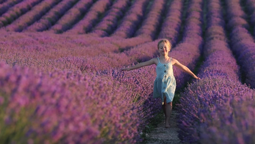 Cute and funny little girl in a summer dress running through a huge blooming lavender field 