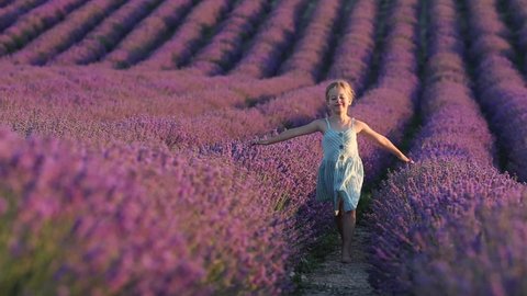 Cute and funny little girl in a summer dress running through a huge blooming lavender field 