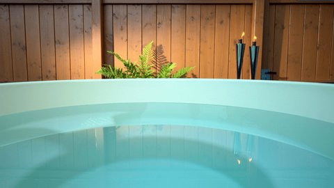 Calm hot tub water surface reflecting a beautiful wooden fence, a healthy green fern illuminated by a streak of sunlight and two chrome garden torches with gently flickering flames.