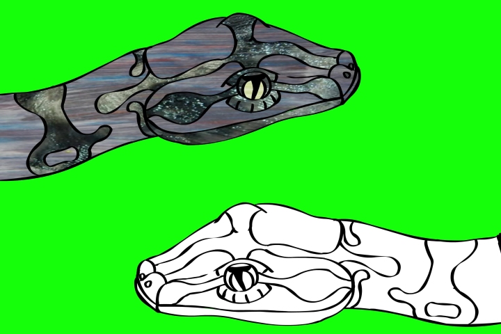 Static Animation of the snake (bitmap colored and black and white vector colored)