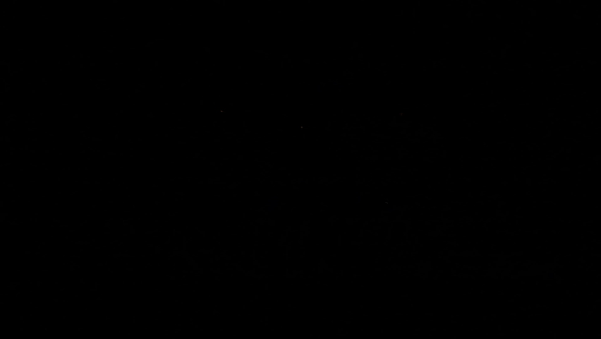 Cat muzzle in round eyewear. Animal under red blue cop car flashing light. Fluffy pet, studio shot. Kitty accessories, robber, police concept.