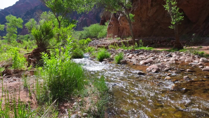Bright Angel Creek Near Bright Angel Campground, Grand Canyon National Park, Arizona, USA