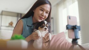 Young girl play  reel   app with little cute puppy dog sit at sofa couch home Asia Gen Z people r influencer pet lover live show selfie viral video with small animal on phone