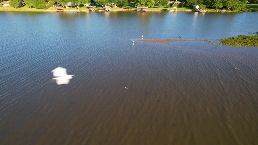 Aerial footage of Cedar Creek Lake in Texas. Camera is flying west over a sand bar and white herons.