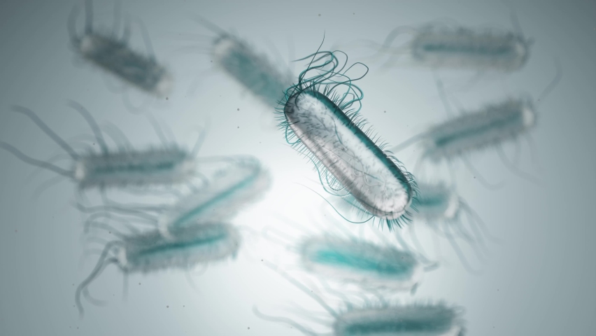 Animation of ecoli bacteria in water under the microscope. | Shutterstock HD Video #1092006825