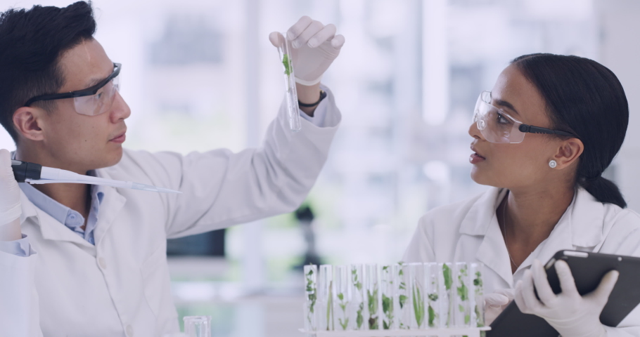 Scientists growing plants in test tubes and typing data into digital tablet for an experiment on carbon capture. Chemists using pipette to put green leaves in glassware for climate change research Royalty-Free Stock Footage #1092012989