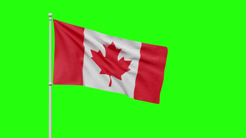 national flag of Canada with a red maple leaf flutters in the wind against a green screen or chroma key. freedom and independence concept. 3d Royalty-Free Stock Footage #1092017801