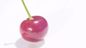 A shot of a red cherry with a root on a white background. Subject video shooting in the studio