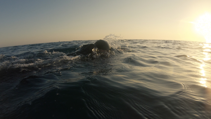 Man training front crawl technique in open water, back view. Sportsman swimming in choppy sea at sunset. Swimmer workout, tracking shot from backside | Shutterstock HD Video #1092029975