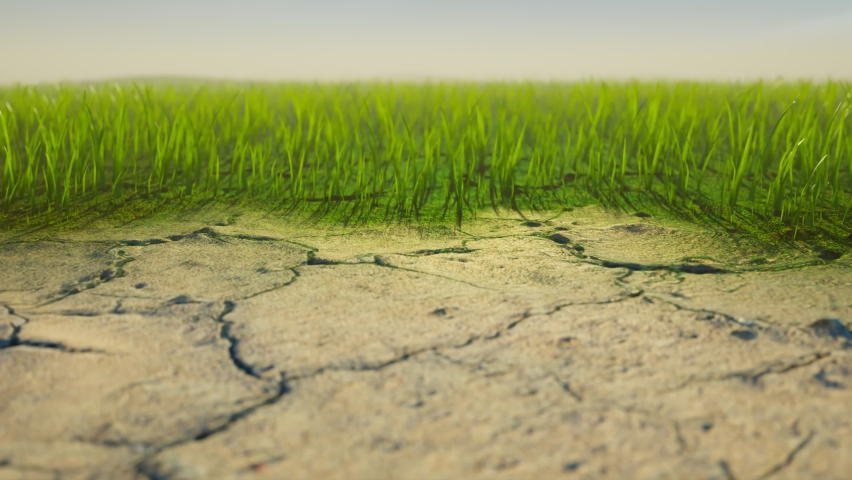 Dry desert with cracked soil transforming into a green, lush meadow full of colourful grass. Fresh blades of grass gradually sprout and overgrow harsh wasteland. Terraforming process. Clear blue sky. Royalty-Free Stock Footage #1092051741