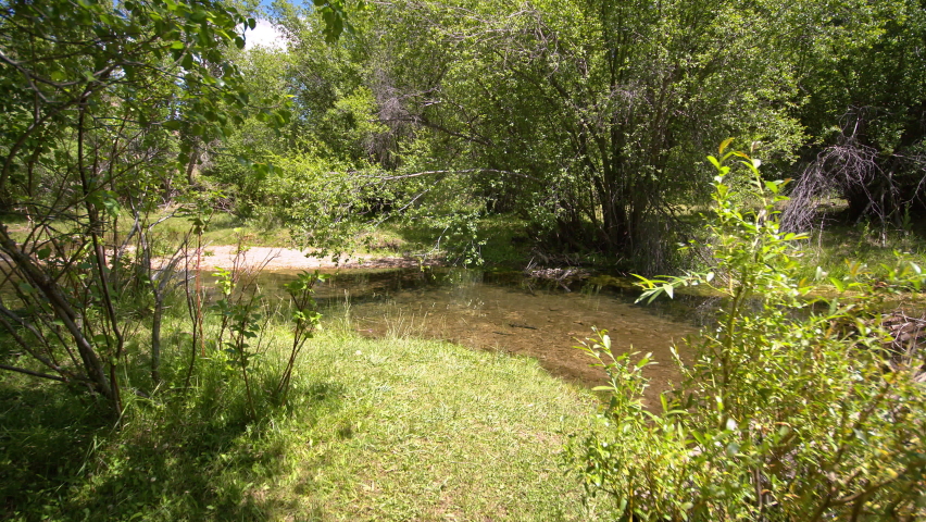 Moving over Hobble Creek gliding over the river through the tree branches crossing over the water from one bank to the other in the Utah mountains.