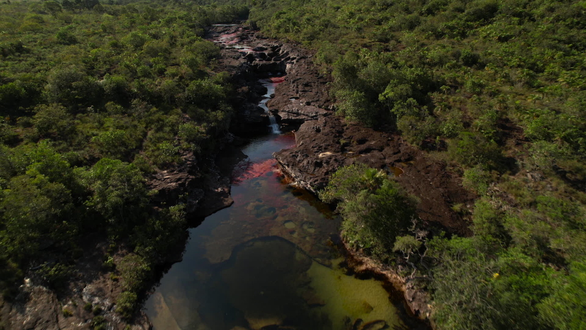 Bird's eye view of Caño Cristales, Colombia, in all its colorful glory