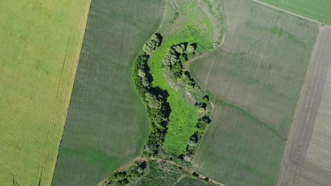 Dried Bushy River Bed Summer Filmed Stock Footage Video (100% Royalty