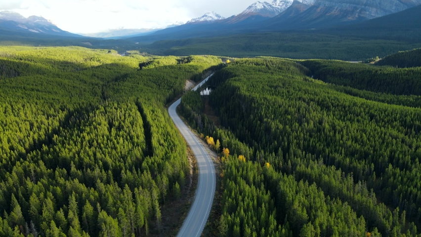 Aerial view of car driving through the forest in national park. Beautiful mountain road. Driving on the mountain road. Road trip. Mountain pine forest landscape. 
