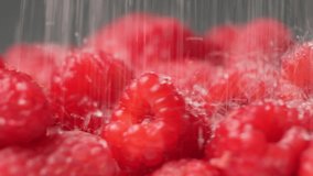 Sugar falls on ripe raspberries, close-up, slow motion - Powered by Shutterstock - Get 15% off with code: PIKWIZARD15