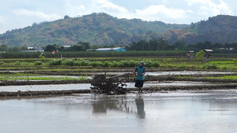 Pati, Indonesia - July, 2022 : Farmer plowing muddy field with hand tractor. A farmer is using a tractor to plow a rice field filled with water to prepare for next season planting. Mud soil. 