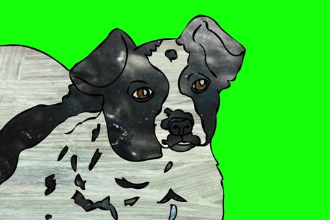 Black White Dog Bitmap Colored On Stock Footage Video (100% Royalty ...