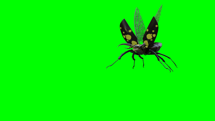 The beetle flies on a green background. 3d render. 3d animation. | Shutterstock HD Video #1092087451
