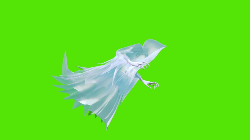 Ghost fly
