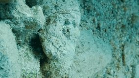 VERTICAL VIDEO: Scorpionfish camouflaged on a coral reef. Tasseled Scorpionfish, Small-scaled Scorpionfish (Scorpaenopsis oxycephala). Slow motion