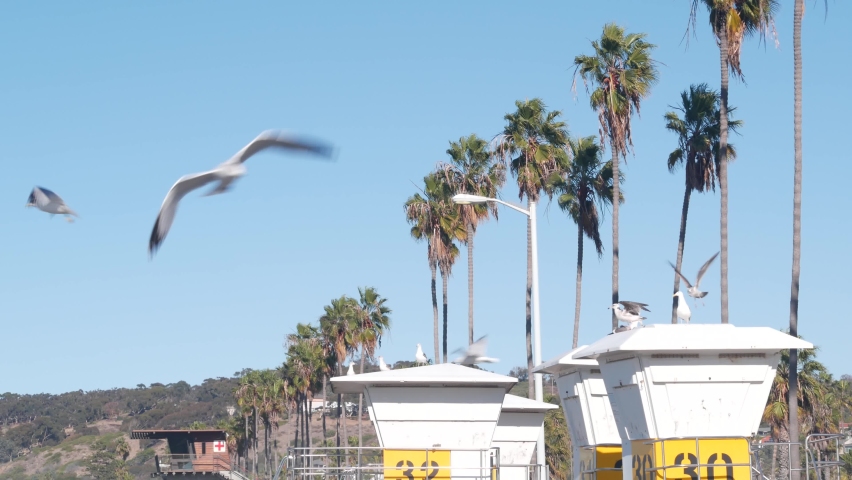 Lifeguard stand or life guard tower hut, surfing safety on California beach, USA. Summer pacific ocean aesthetic. Rescue station, coast lifesavers wachtower or house, palm trees in La Jolla, San Diego