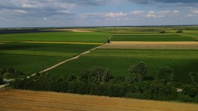 Green fields at summer aerial shot, agriculture 
