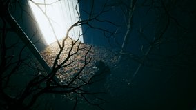 Fantasy scene. A man with a suitcase passed through an door portal in the wood. Magic glowing frame doorway. Time traveller. Abstract bright neon light. White rectangle door to travelling - Powered by Shutterstock - Get 15% off with code: PIKWIZARD15