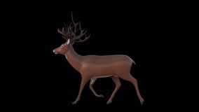 Deer Toy Trottle Walk animation.8 Second Long.Transparent Alpha video LOOP.