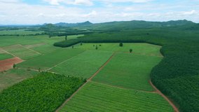 agricultural area  aerial view  green area as far as the eye can see  natural beauty