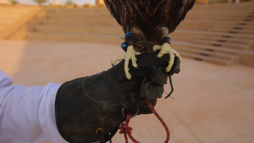 Bird paws of a falcon in a cowl.