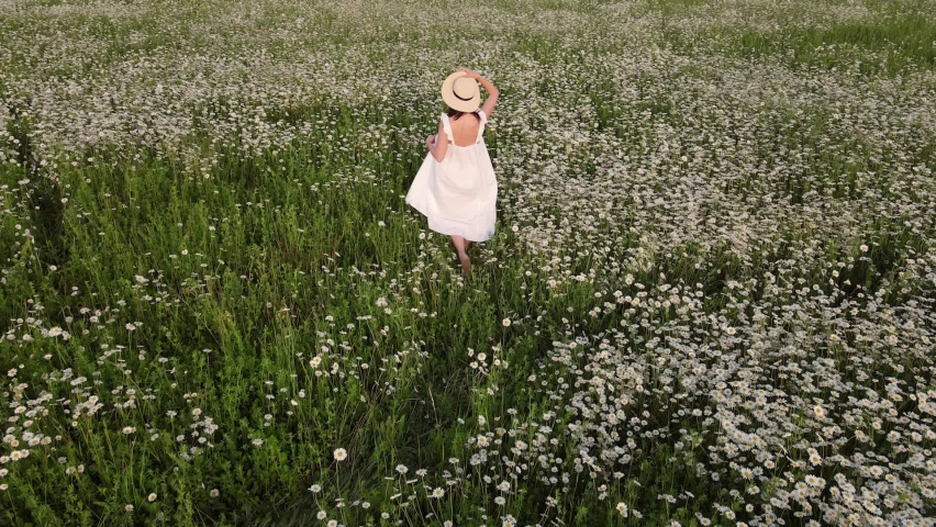 woman in a white dress and hat walks through a field with daisies in the evening at sunset in summer