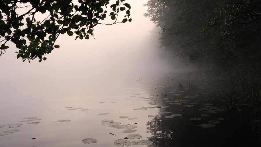 fog over the river at sunset 