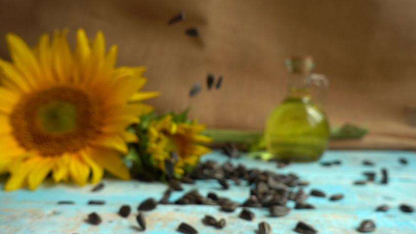 Sunflower, sunflower oil on blue vintage wooden table top and falling sunflower seeds on it. Slow motion. Royalty-Free Stock Footage #1092170085