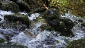 Waterfall flowing in jungle between trees and rocks. Relaxing and soothing waterfall video. 