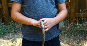 Static video of a Western Rat Snake Pantherophis obsoletus. Young boy is holding the snake.