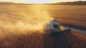 Harvesting combine field food agriculture wheat sunset food working