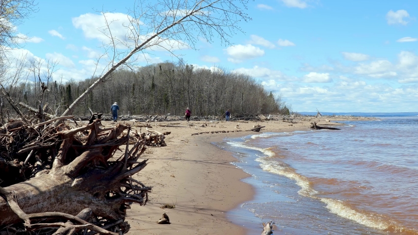 Driftwood on a sandy beach along the south shore of Lake Superior in northern Wisconsin. Calm waves lap the sand on a sunny day with blue skies and fluffy clouds in handheld clip.