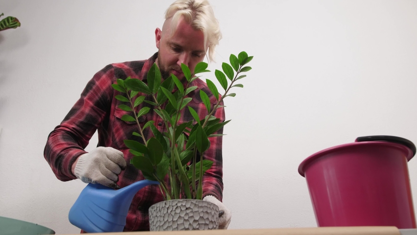 Man florist at work, man watering flowers, green decorations for the home, landscaping space, nature at home or in the office