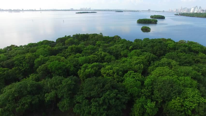 Aerial video of Islands at Biscayne Bay Miami FL