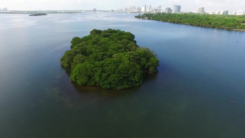 Aerial video of Islands at Biscayne Bay Miami FL