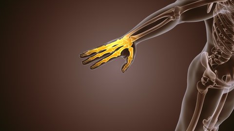 31 Osteoporosis Texture Stock Video Footage - 4K and HD Video Clips | Shutterstock 31 Osteoporosis Texture Stock Video Footage - 4K and HD Video Clips | Shutterstock