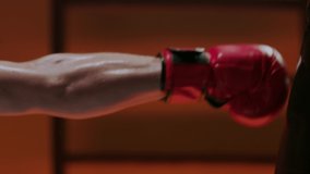 Boxer with boxing gloves hitting the heavy bag - Powered by Shutterstock - Get 15% off with code: PIKWIZARD15