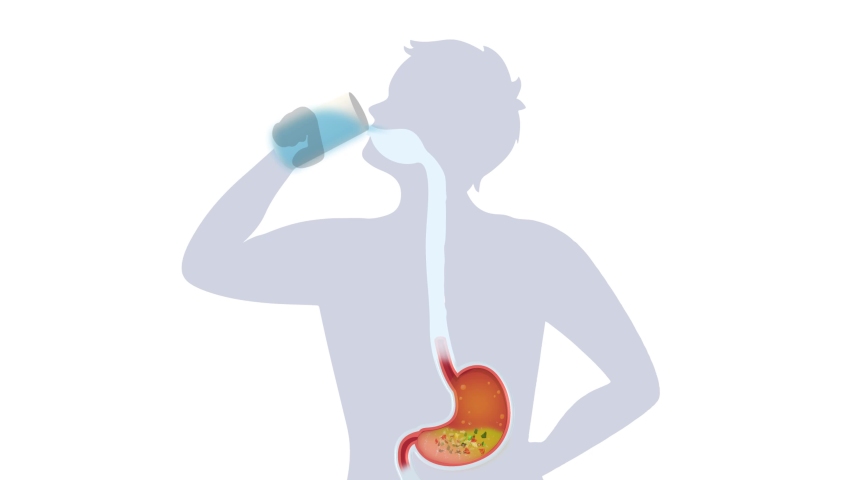 Digestive System drinking water_Drinks Detox Beverage that Helps Eliminate Toxins_ stomach disease. Gut cleaning. Royalty-Free Stock Footage #1092307449
