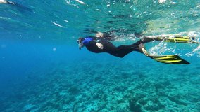 female diver. underwater video. Waterproof photo and video equipment for travel. extreme tourism and travel. exotic animals and tropical and equatorial climate.