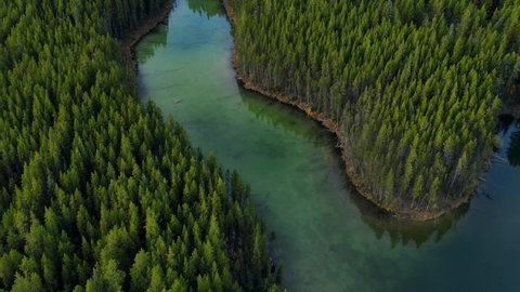 Scenic View of water in a mountain forest lake with pine trees. Aerial drone view of green lake and green forests in banff  national park. Crystal clear mountain lake between forest. 