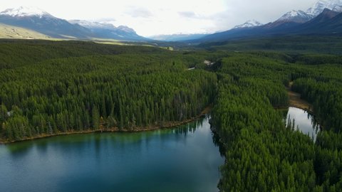 Scenic View of water in a mountain forest lake with pine trees. Aerial drone view of green lake and green forests in banff  national park. Crystal clear mountain lake between forest. 