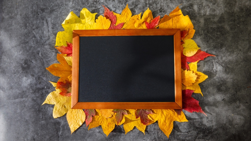 Black letter chalkboard with BACK TO SCHOOL Written on it with white letters. Board with frame of red and yellow autumn leaves on dark grey marble background. Horizontal stop motion 4k video footage