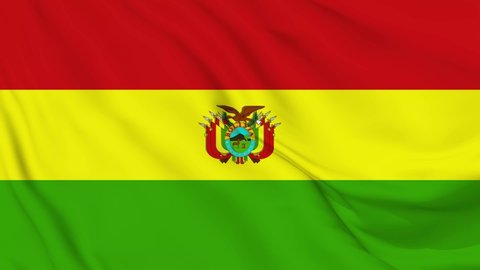 Bolivia flag seamless closeup waving animation. 
