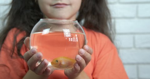 Fish from petshop. A little girl hold a bowl with water and decorative fish in hands in the room.